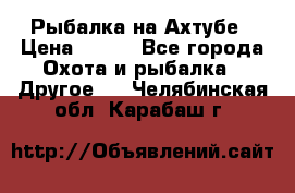 Рыбалка на Ахтубе › Цена ­ 500 - Все города Охота и рыбалка » Другое   . Челябинская обл.,Карабаш г.